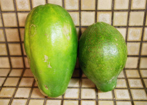 old papaya