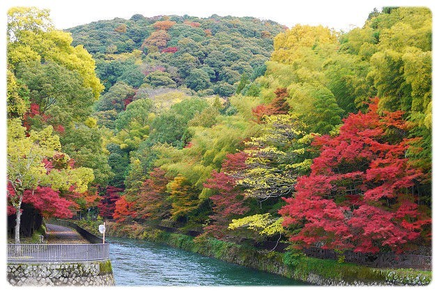 resize0092