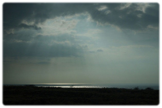 resize0059