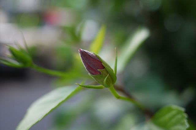 resize0579