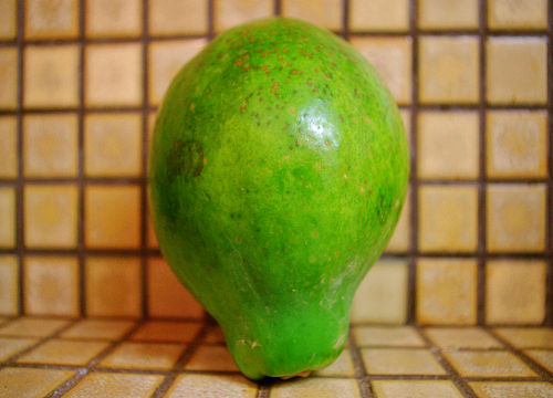 papaya