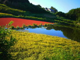 f0936d97.jpg
