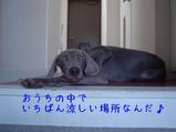 ����䤫������ȴ���ޤ�����