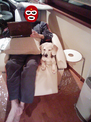 BlogPaint