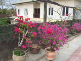 DSCF0669