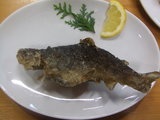 yokoyama 017