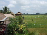 DSCF0748