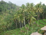 DSCF0784
