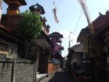 DSCF0685