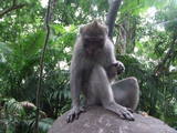 DSCF0758