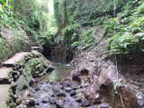 DSCF0764
