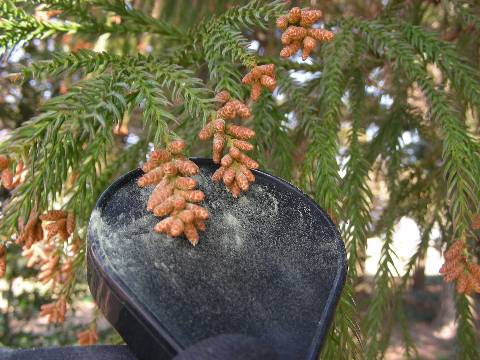 DSCN8444
