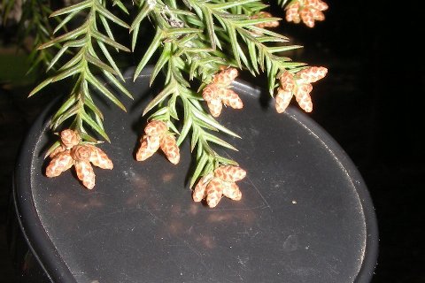 DSCN8900