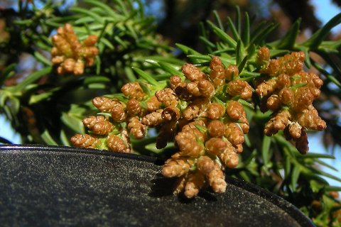 DSCN8929