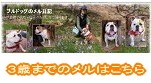 ���Ф��飳�ФޤǤν����������Ϥ����餫��ɤ�����
