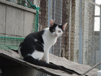 ishiki04