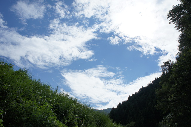 DSC09400