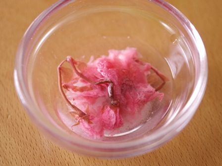 春の抹茶パウンドケーキ桜とひなまつり06
