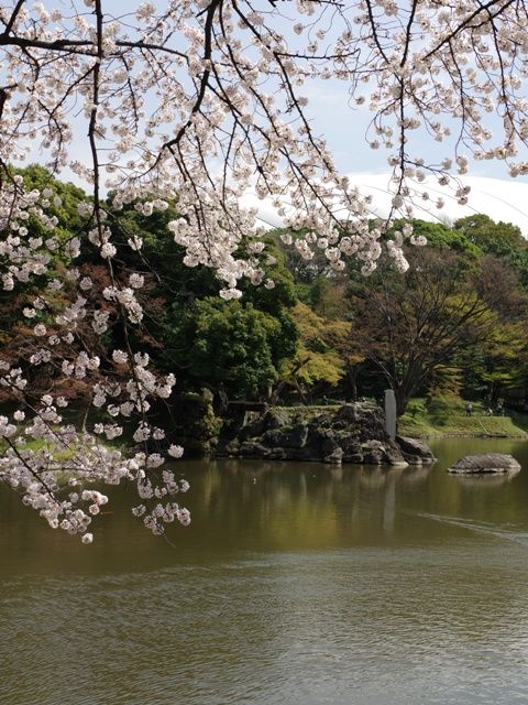 20140401小石川後楽園07