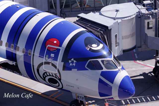 羽田空港にて撮影20170306