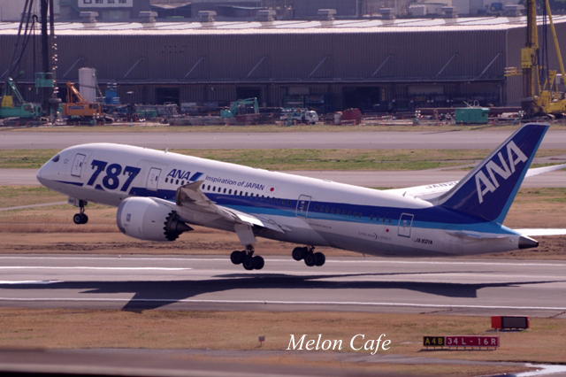 羽田空港にて撮影20170315