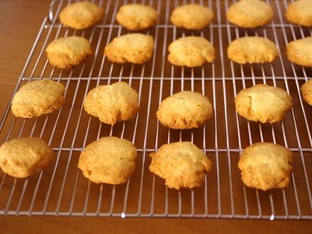 GABANバニラビーンズで簡単ティークッキー07