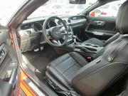 CIMG5579