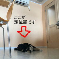 BlogPaint