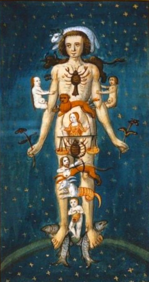 Zodiac Man, 15th by an unknown artist