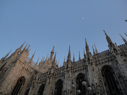 flickr_photo_download_4471854118