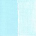 Blues-01-ReflectingPool