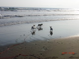 2011・4・28-5