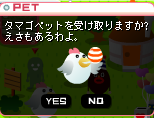 コッコさん登場☆