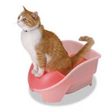 おまるdeキャット!