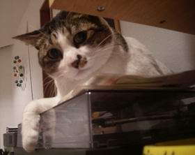 よろしくお願いします