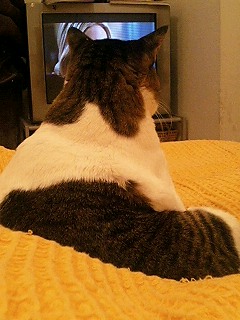 ちゃんと見てます(笑)
