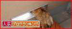【人気blogランキングへ】
