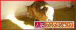 �ڿ͵�blog��󥭥󥰤ء�