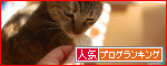 �ڿ͵�blog��󥭥󥰤ء�