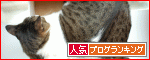 【人気blogランキングへ】