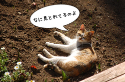 ����������˹��줿��