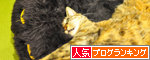 【人気blogランキングへ】