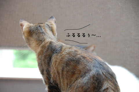 こっち向いて〜。