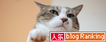【人気blogランキングへ】いつもありがとうございます!