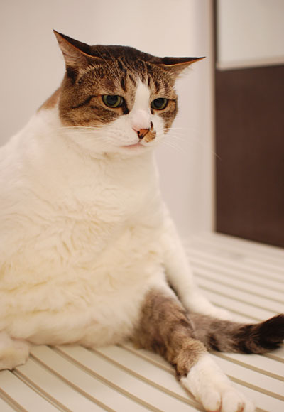 �ͤ�����Ǥ��뤫�Τ褦�ʤ��ޤ��󡣡���