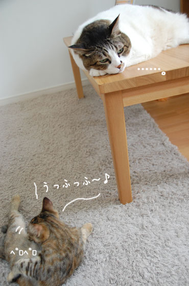 ���Ĥˤʤ��顣����