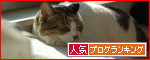 【人気blogランキングへ】