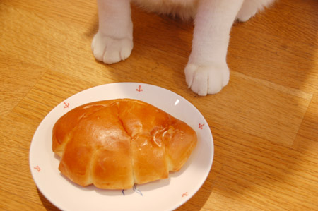���֥�Ǥɤ���
