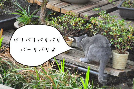 見かけない色だわ!