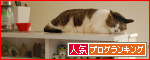 �ڿ͵�blog��󥭥󥰤ءۤ��Ĥ���礢�꤬�Ȥ��������ޤ���